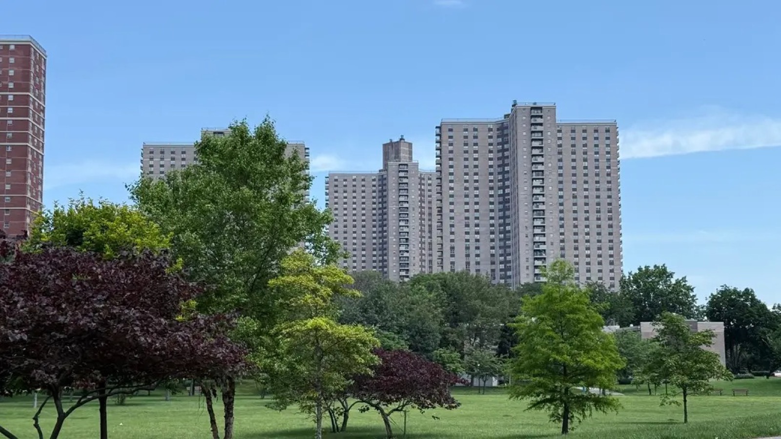 Co-op City apartment towers in The Bronx under a clear sky