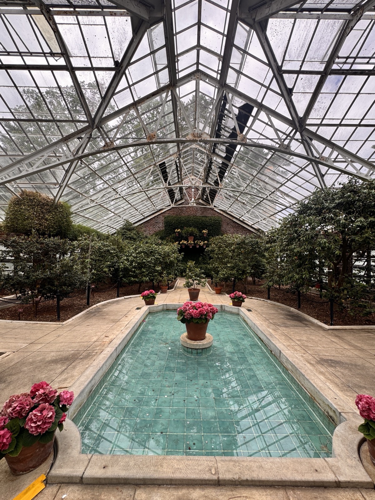 Glass-roofed greenhouse with a tiled pool lined with potted pink flowers